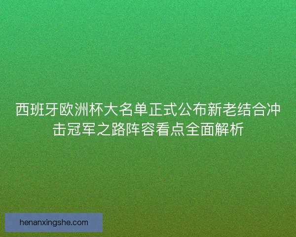 西班牙欧洲杯大名单正式公布新老结合冲击冠军之路阵容看点全面解析 西班牙欧洲杯大名单正式公布新老结合冲击冠军之路阵容看点全面解析